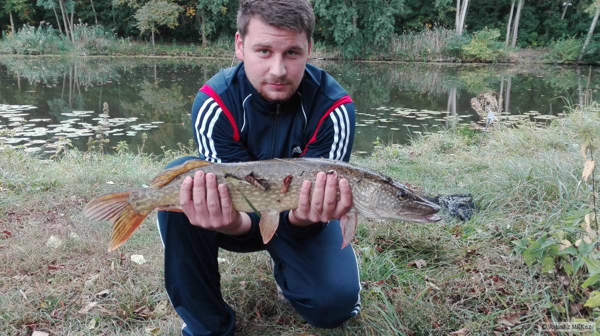 75cm