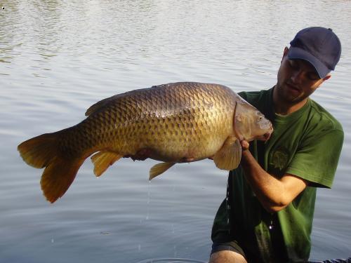 Posledn� kapr chycenej hodinu pred odjezdem 92,13,5kg