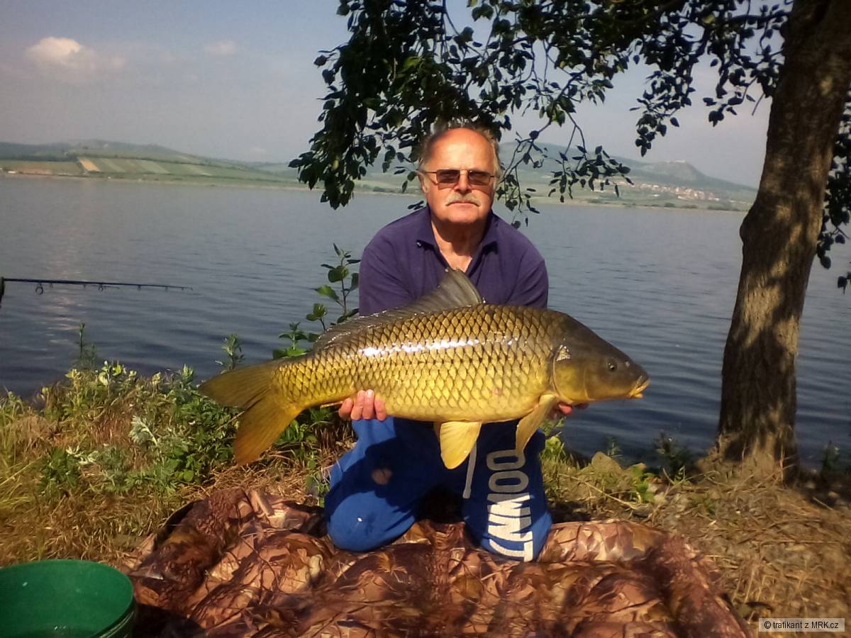 Mušov D5