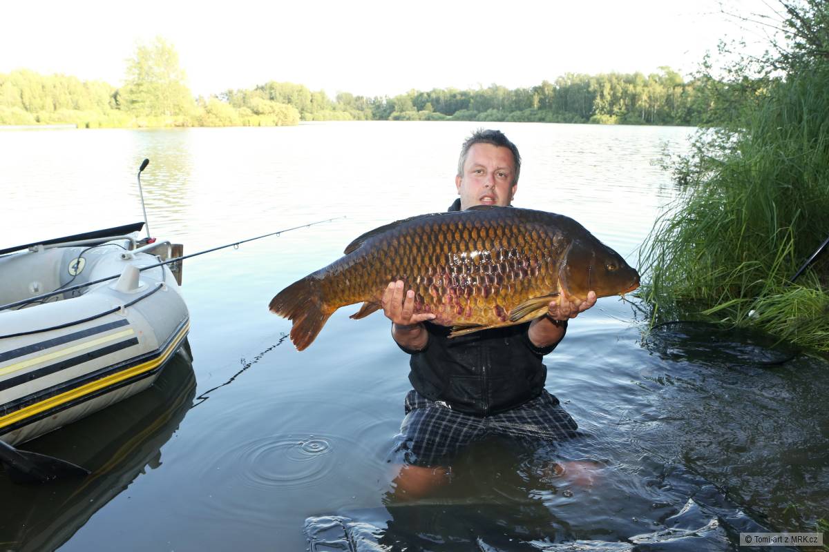 Kapr svazová voda 96cm 18kg