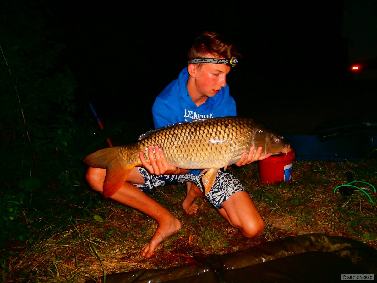 Kapr 8,5kg