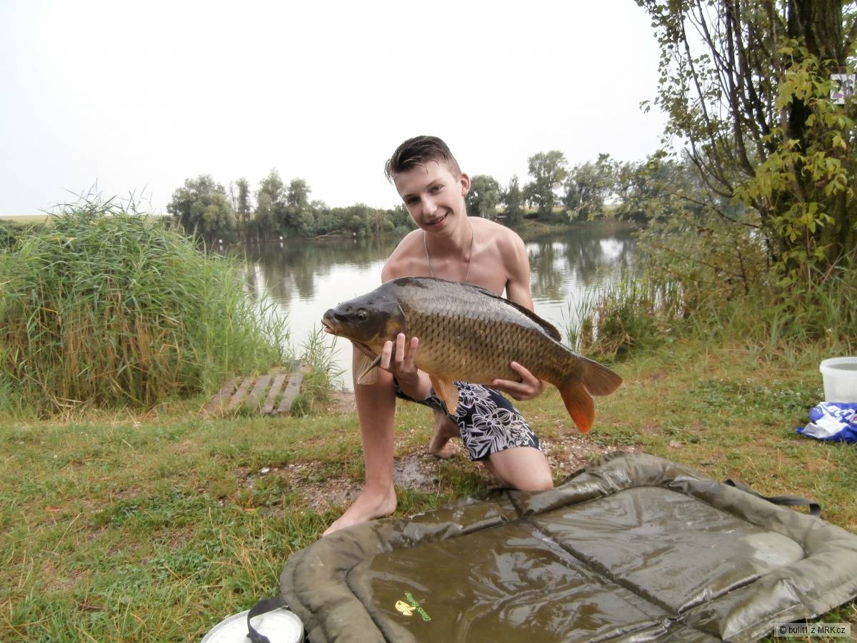 Kapr 9,0kg
