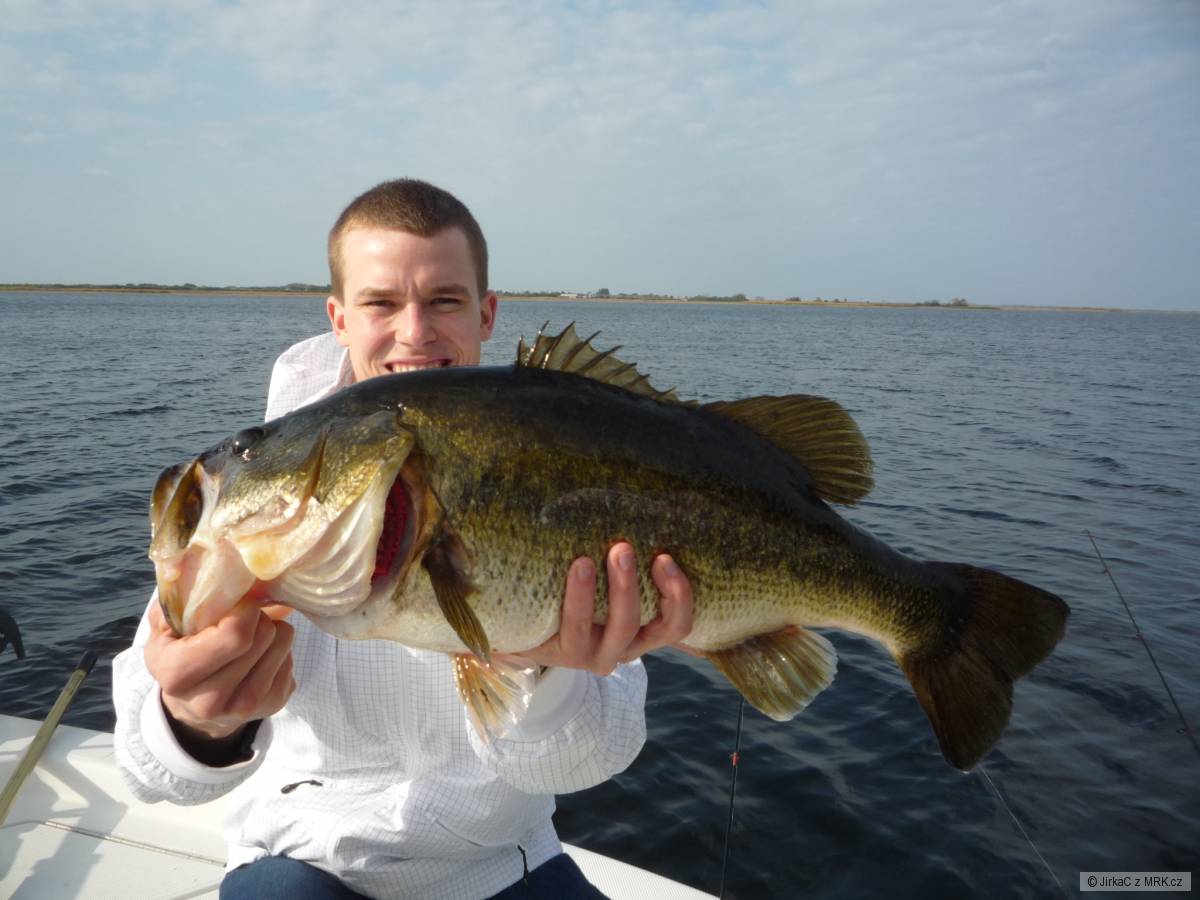 Large Mount 5kg...