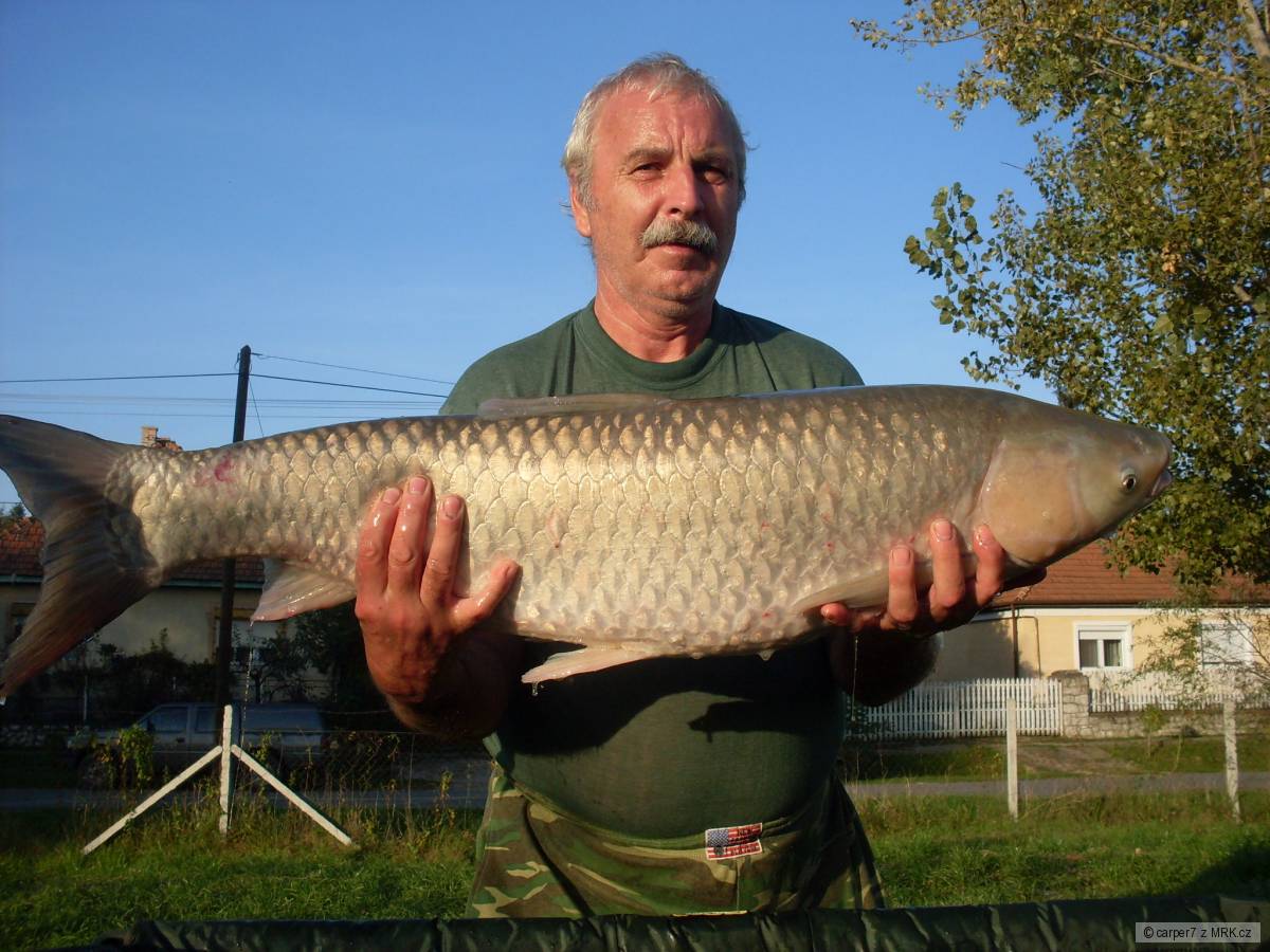 arur z harsány