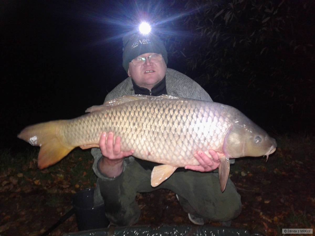 Kapr 95cm 15kg