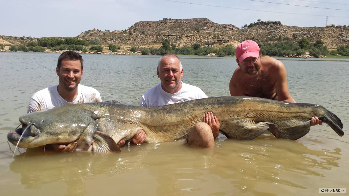Sumec -Ebro