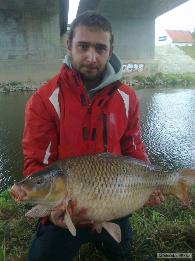 kapřík