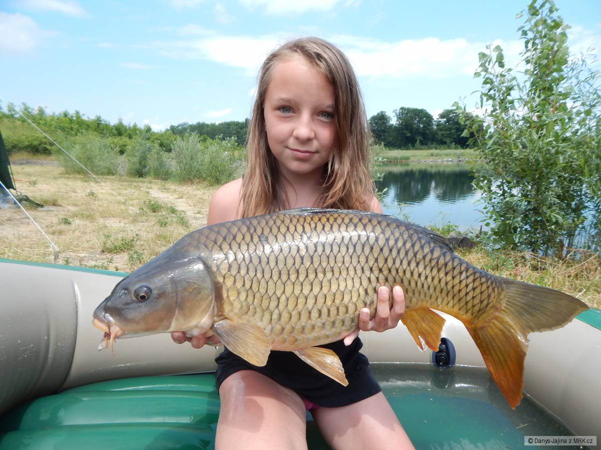 rybarina
