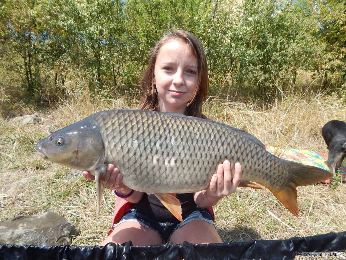 rybarina