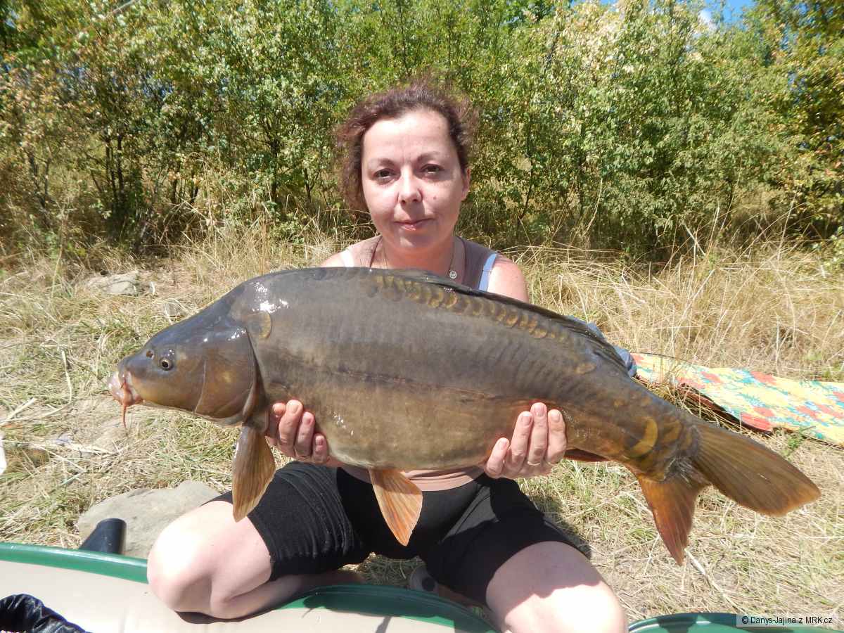 rybarina