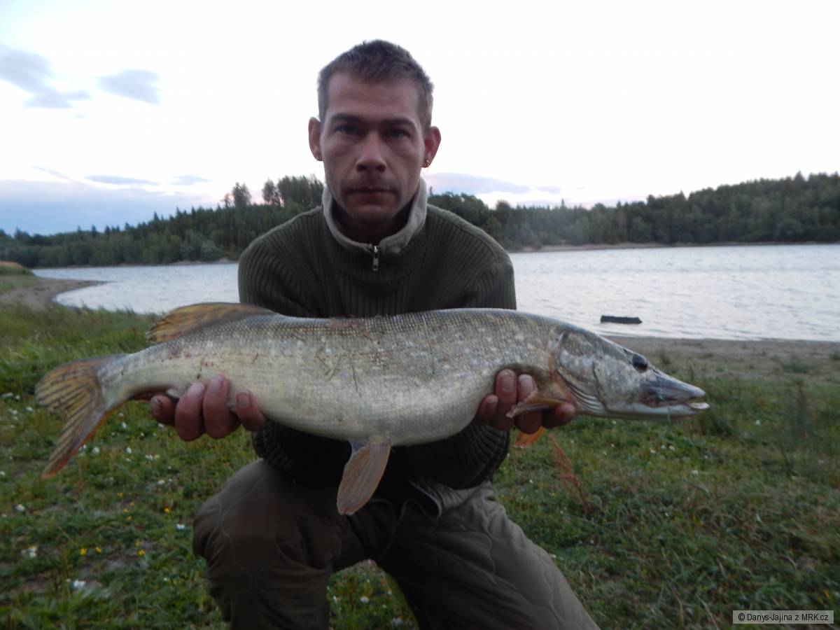rybarina