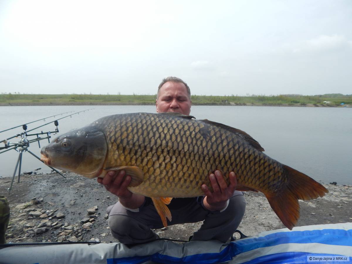rybarina