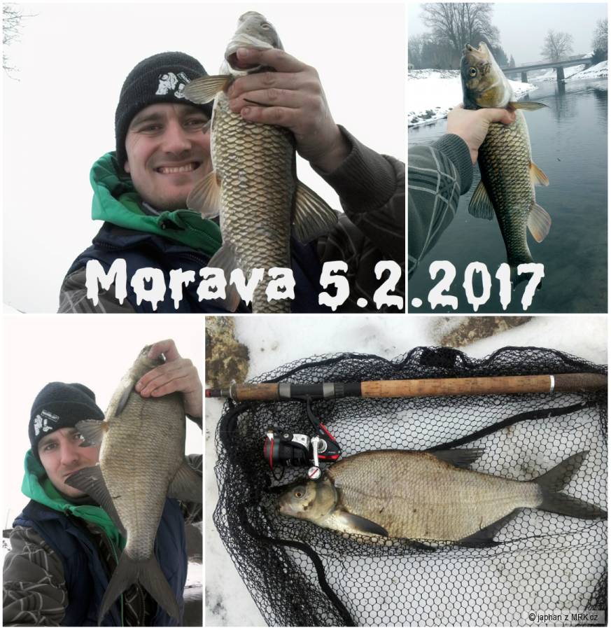 Zimní feeder na Moravě