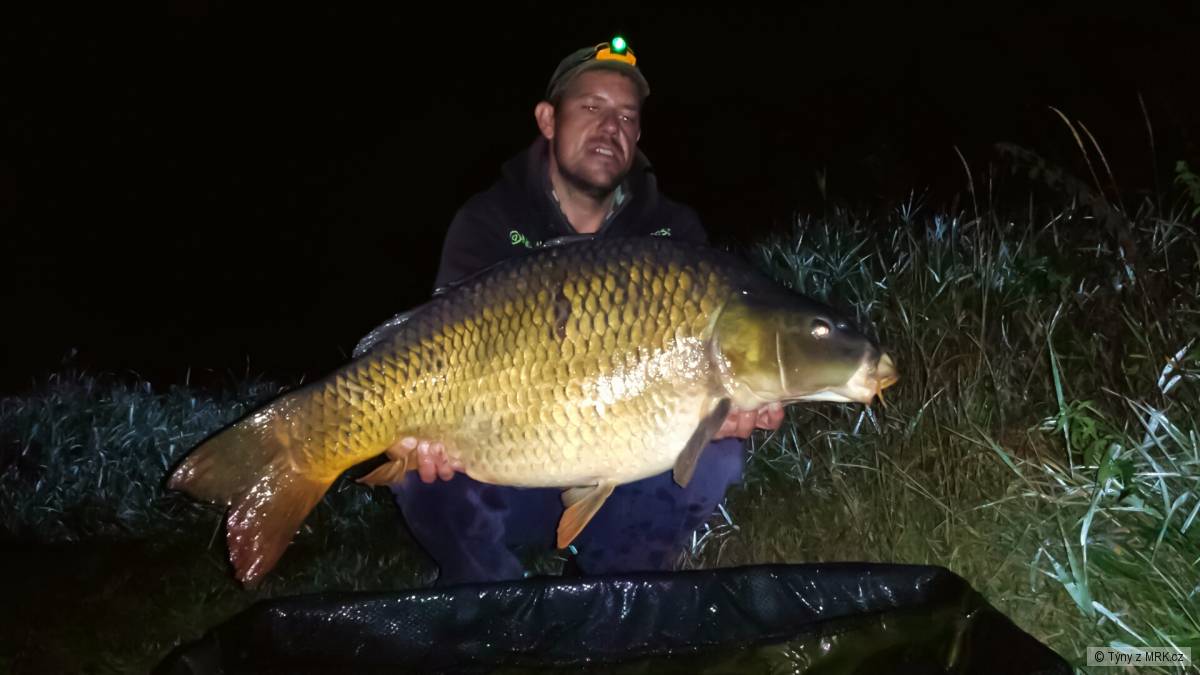 19,60 kg
