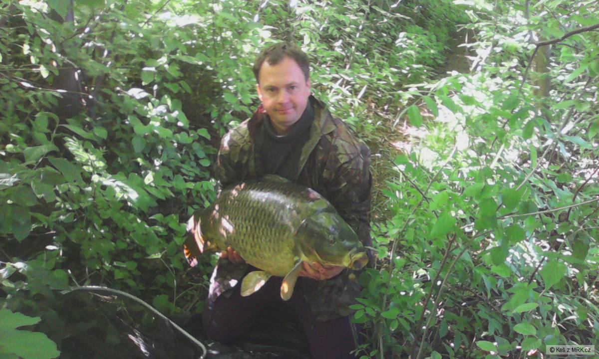 19.60kg 95cm