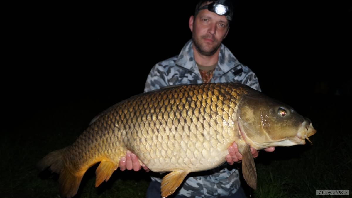 Komorník 18kg.