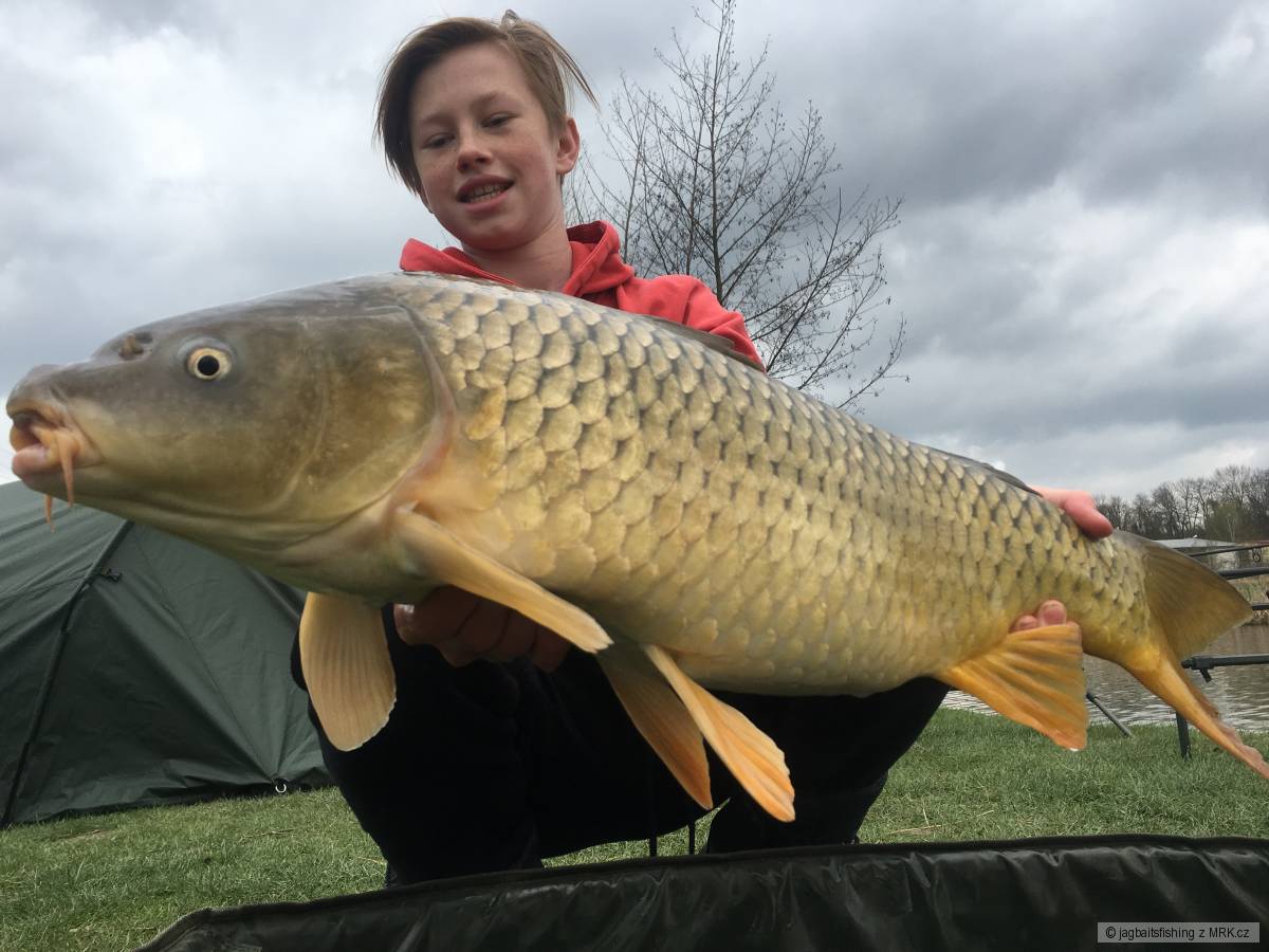 Carp