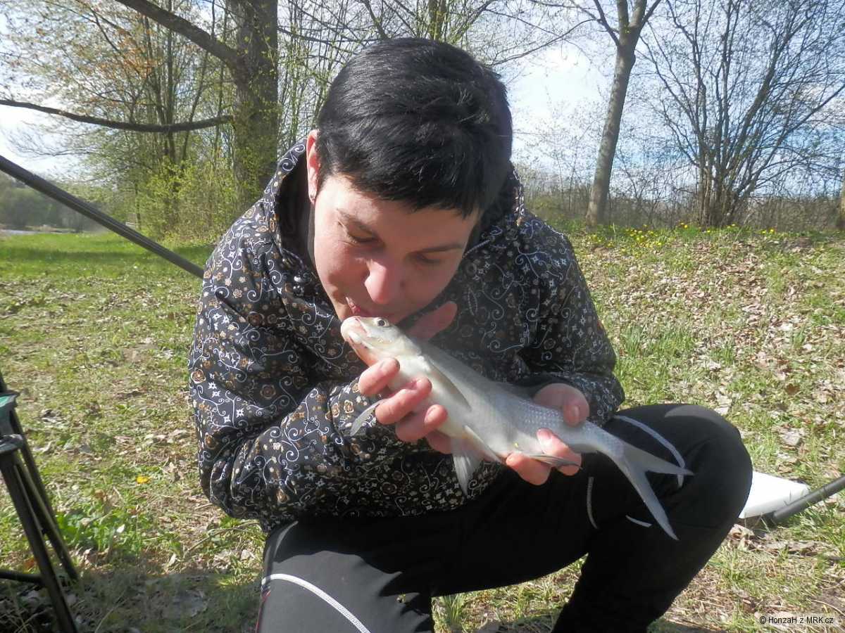 Má drahá polovička