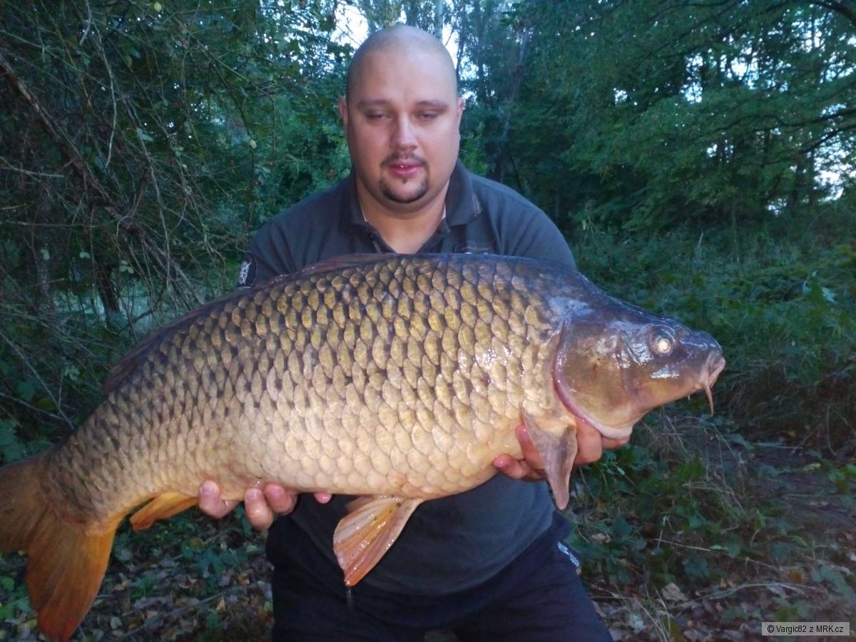 87 cm 12 kg