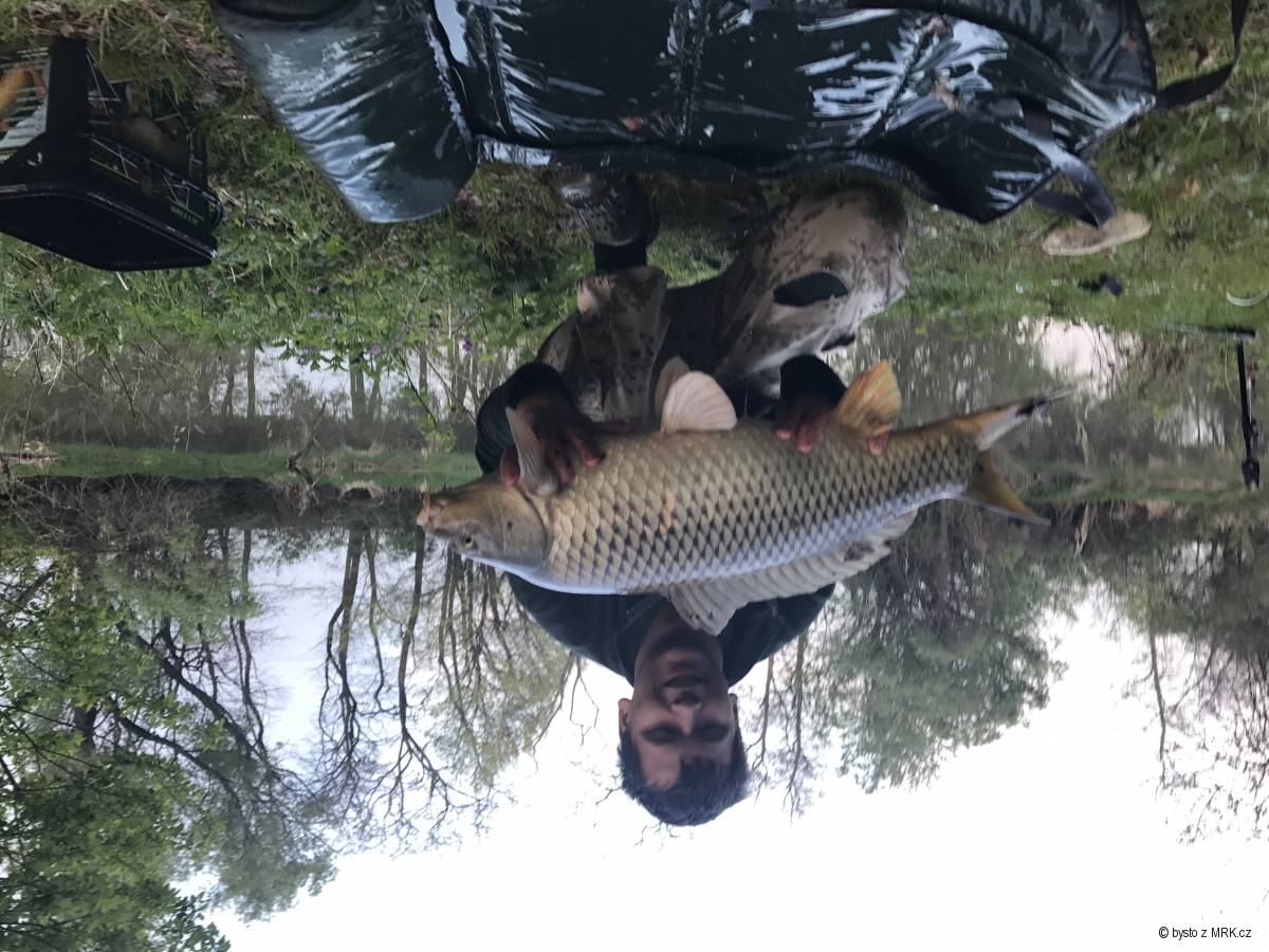 78cm 7kg, prvý jarný
