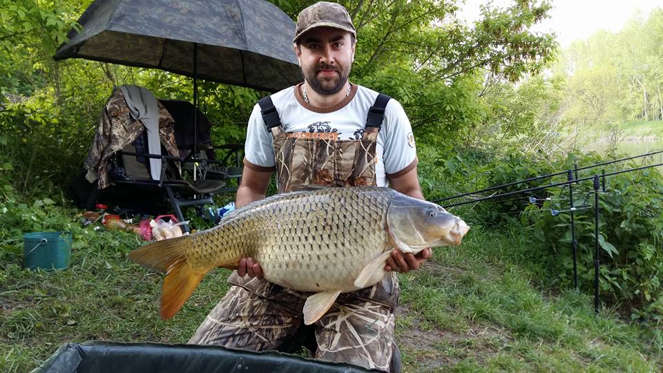 Kapr 14kg 38g 85cm