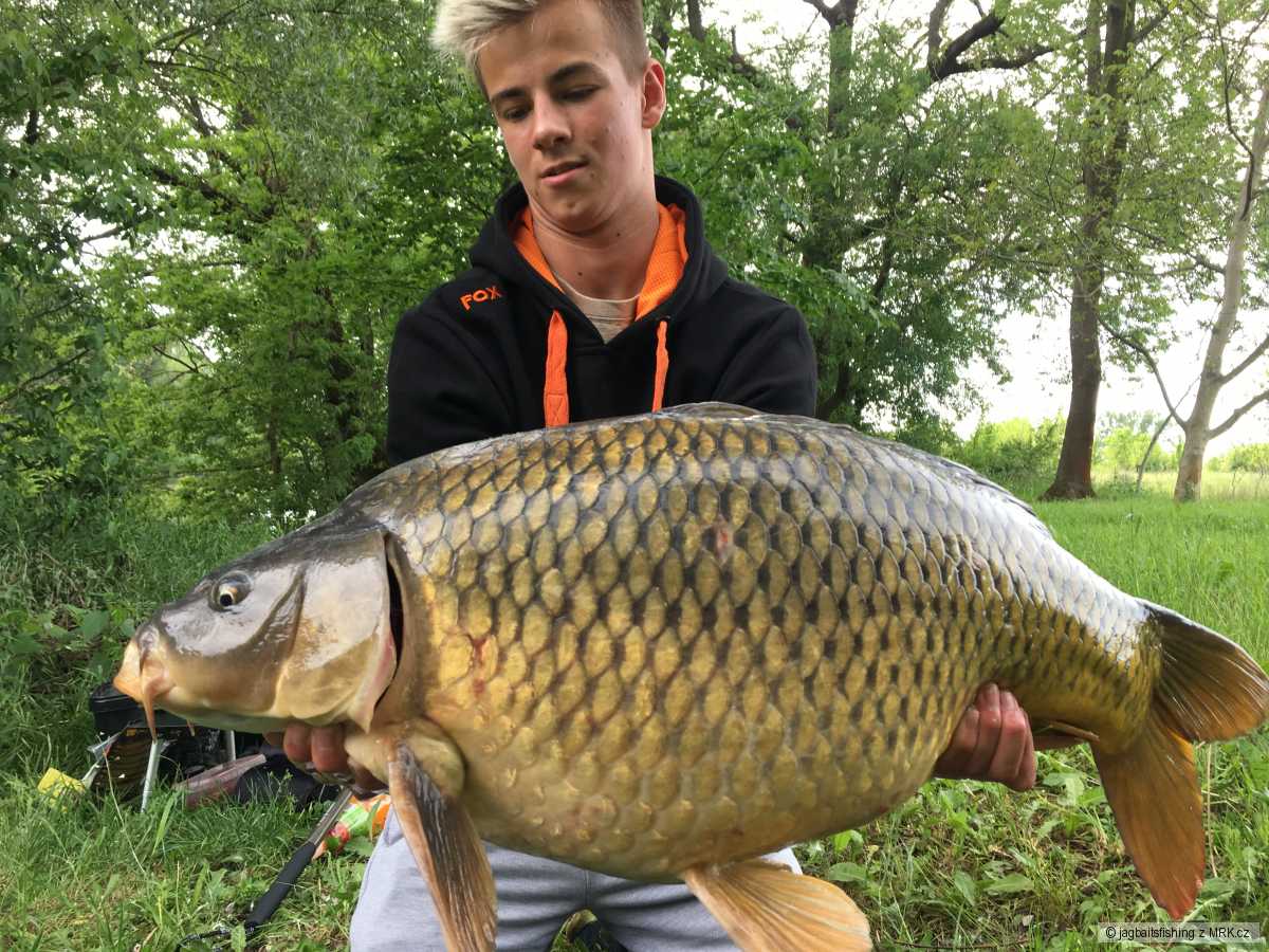 Morava 5 -šupík 14,90Kg