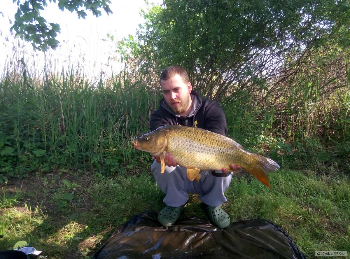 65cm 6kg