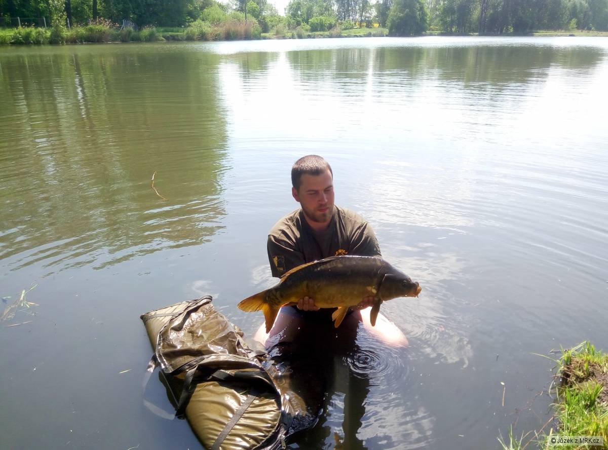 65cm 6kg