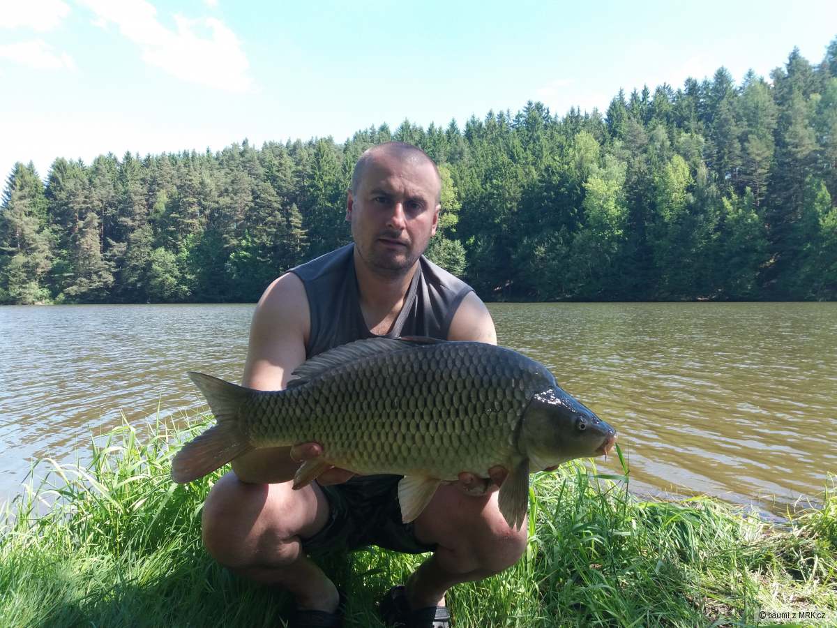 Víkendové kapraření