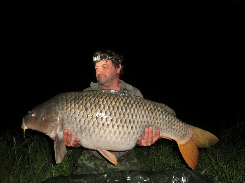 Kapr obecný 103cm,21kg