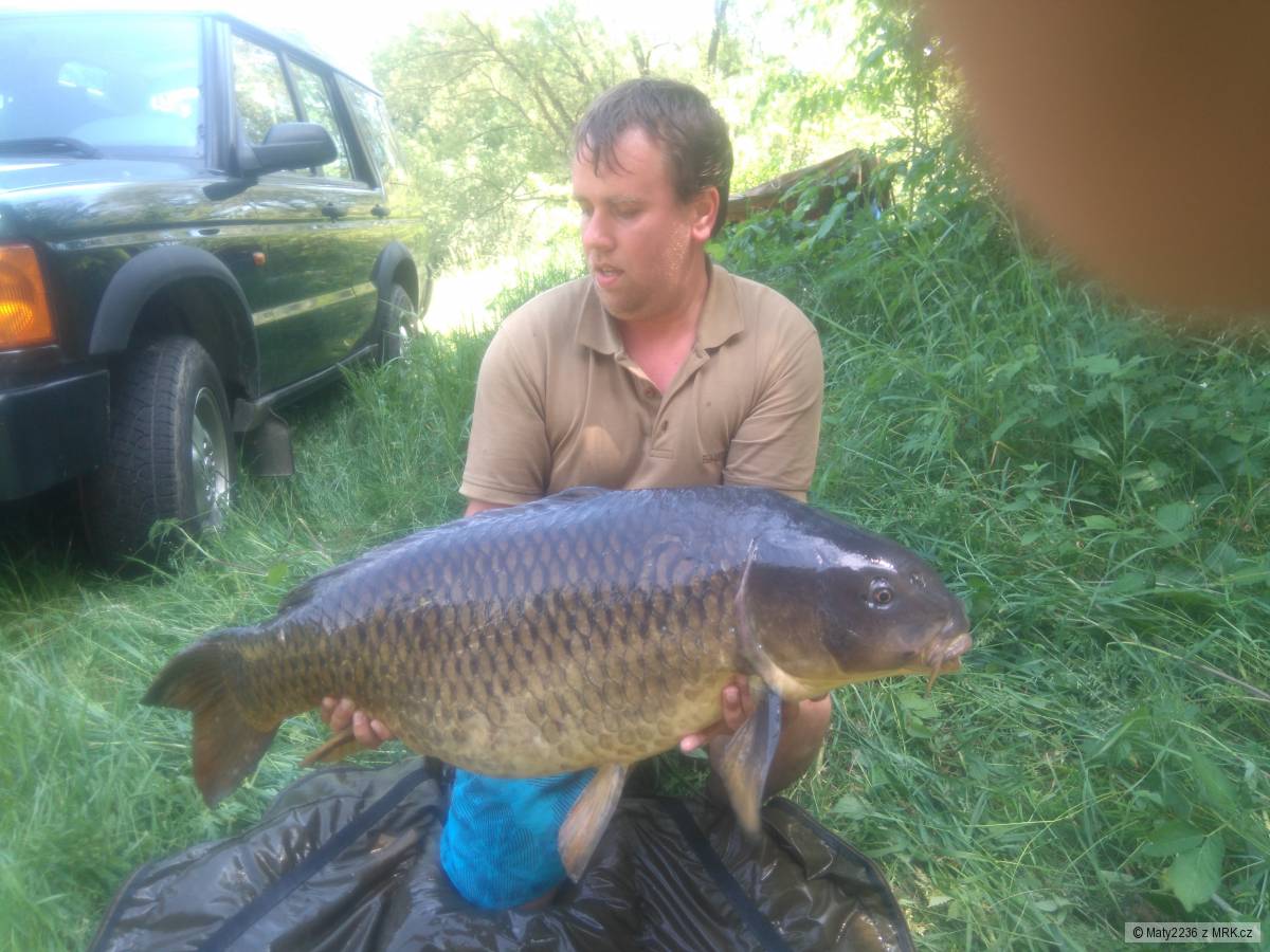 Labe 19,47kg