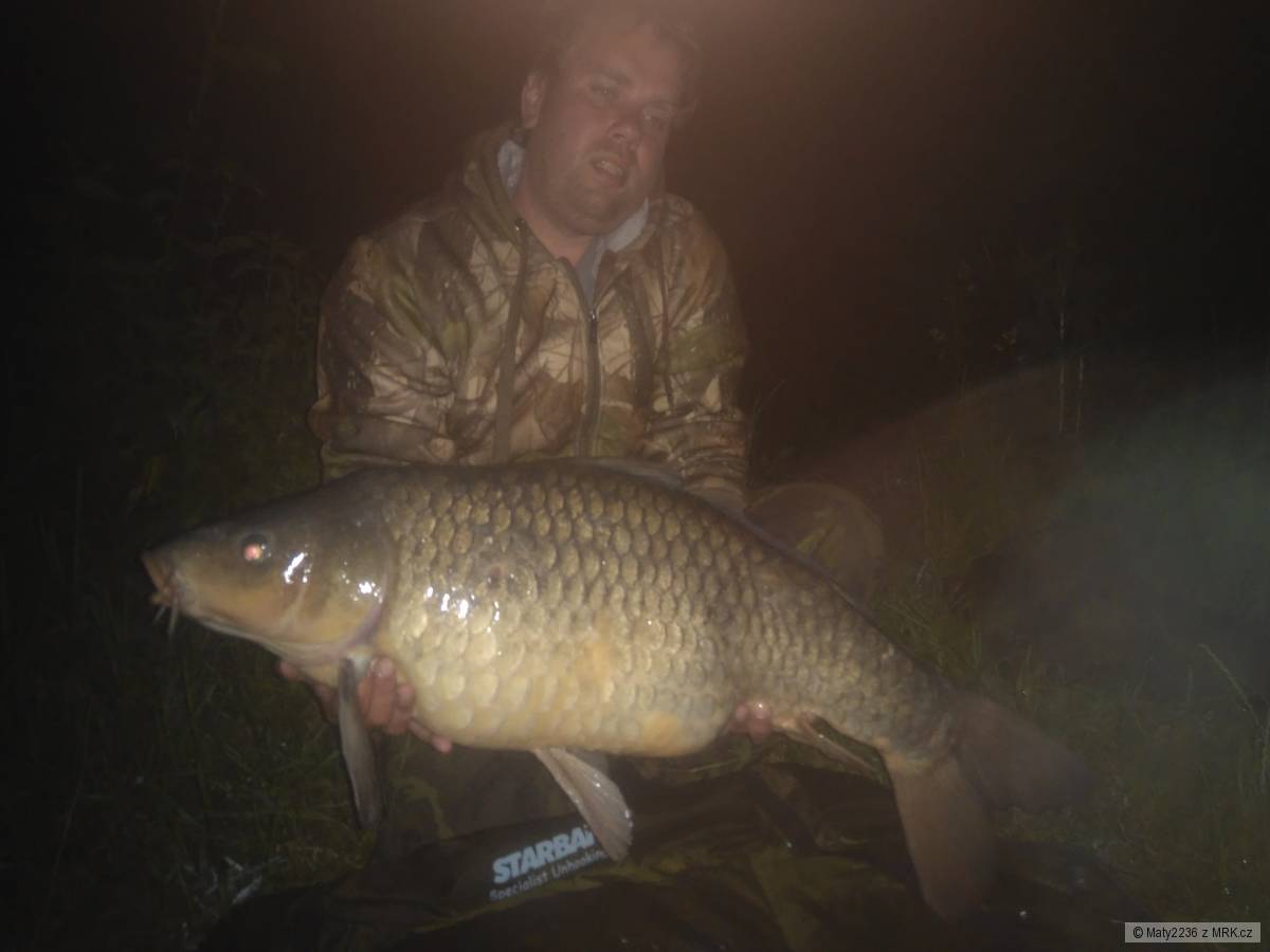 Labe 15,28kg