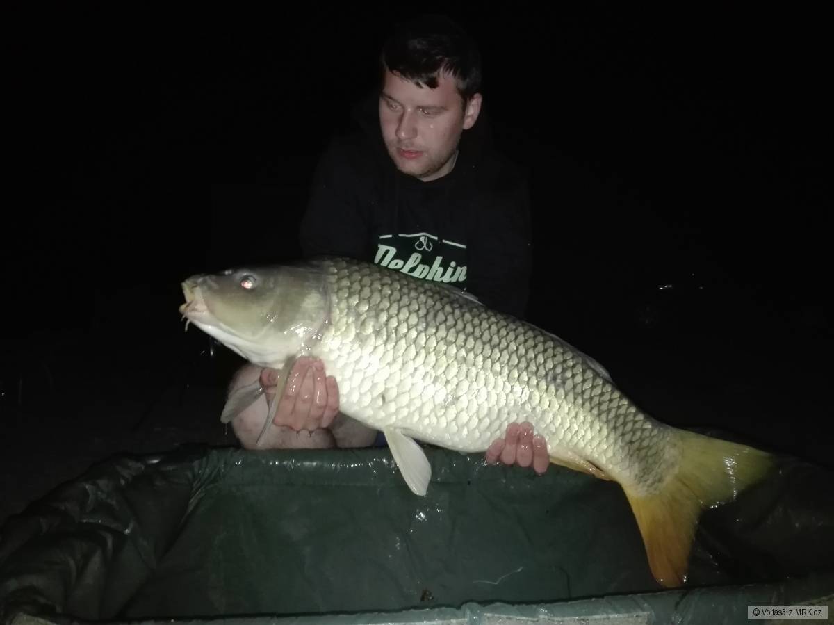 93cm 13,85kg