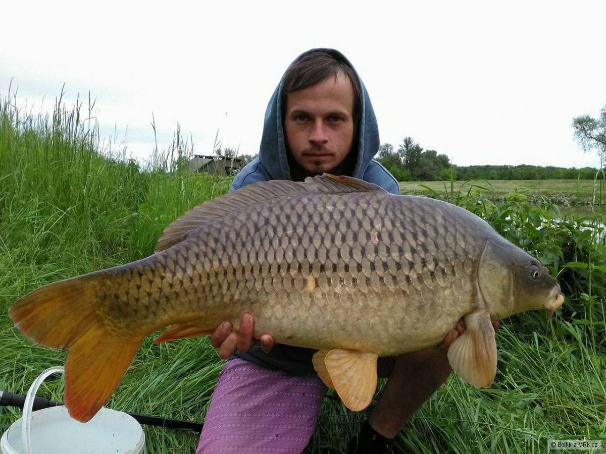 Řeka