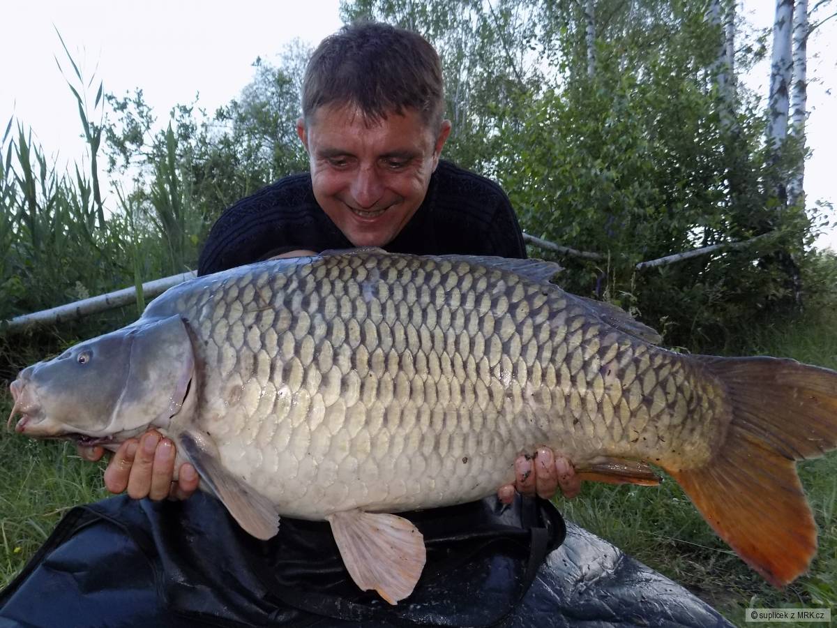 osobak 19 kg