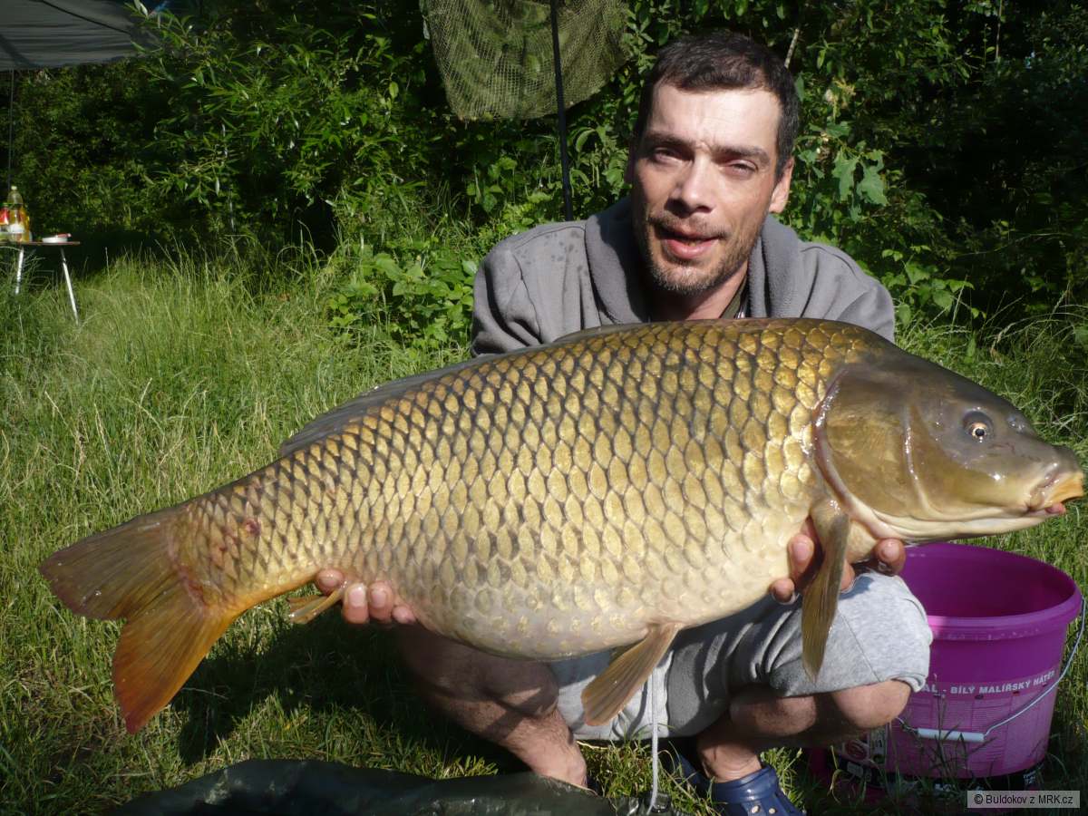 82cm 12kg