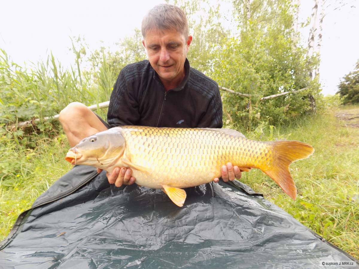 12 kg