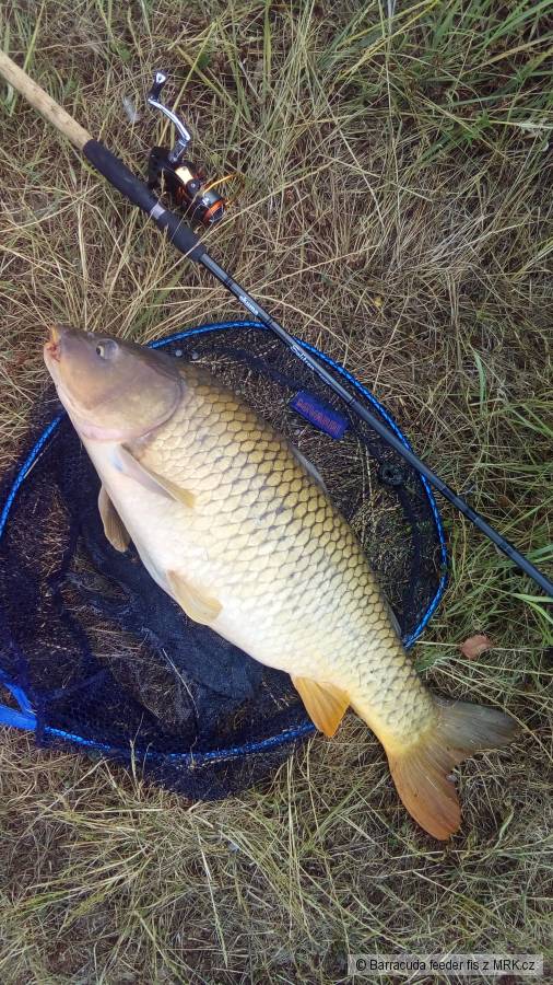 Feeder p�ed bou�kou