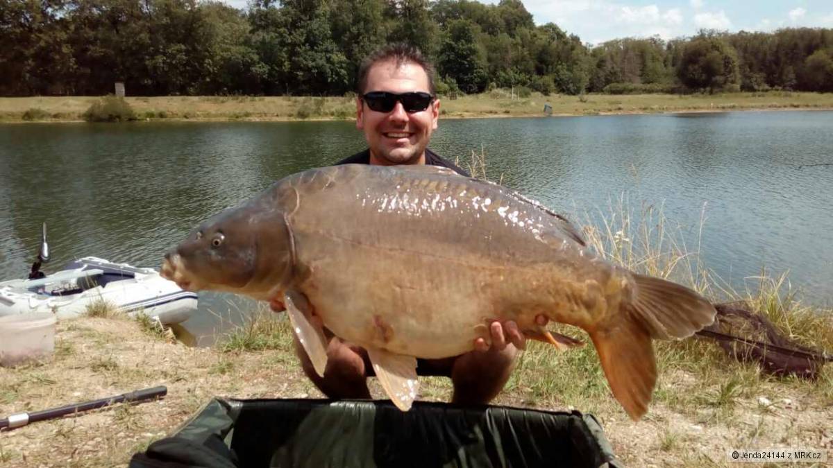 Kapr 17,1 Kg