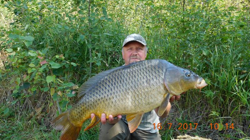 Křištálovka 10kg+
