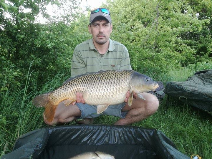 Kapr 84 cm
