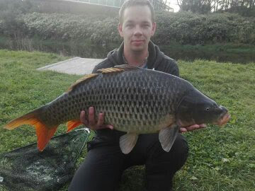 Odra 82cm10.2kg
