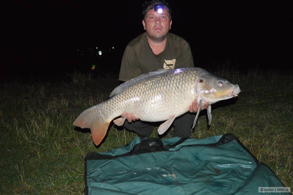 kapr 97, 16,3 kg