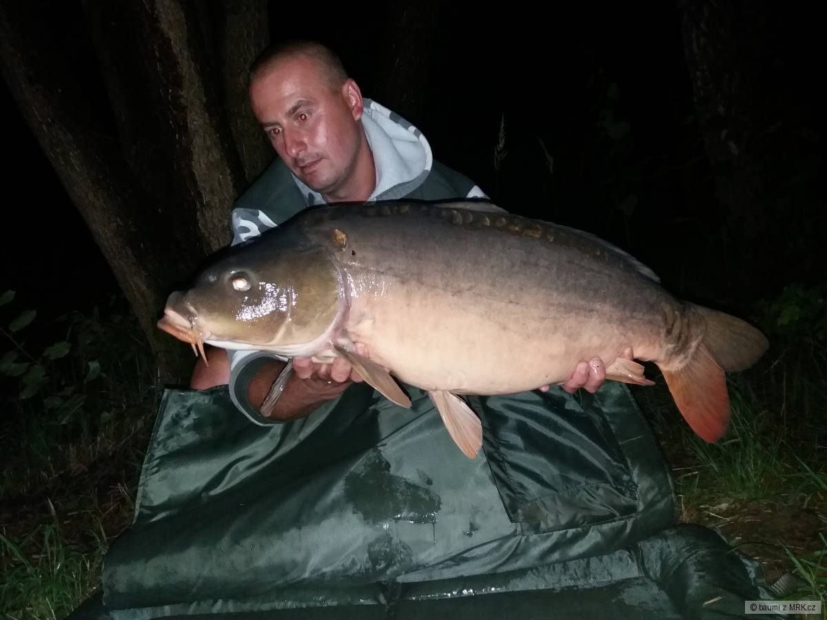 12kg