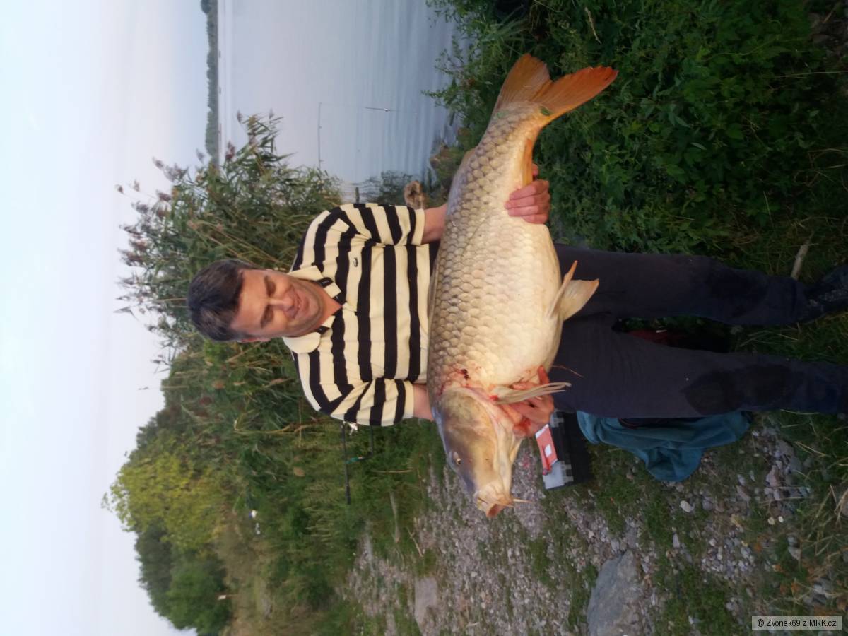 Kapr 108cm 30kg dyje 6