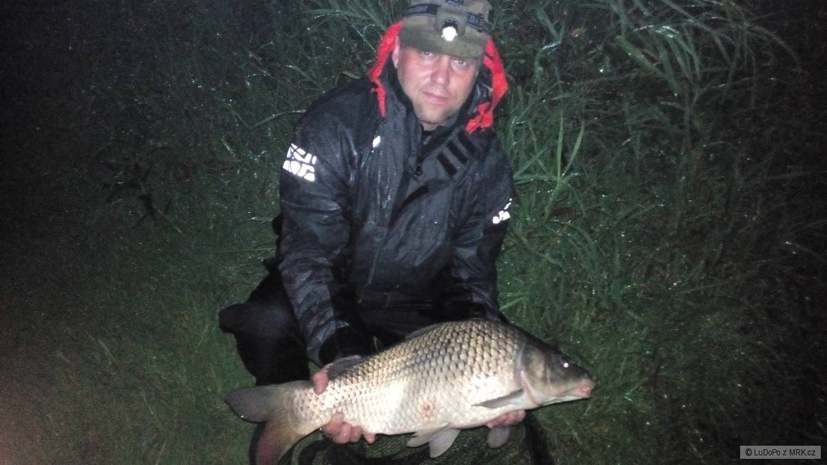 večerní lov