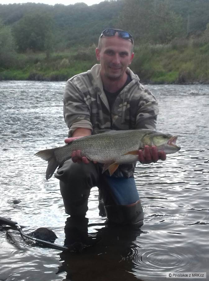 Bolen 87cm září Berounka 1