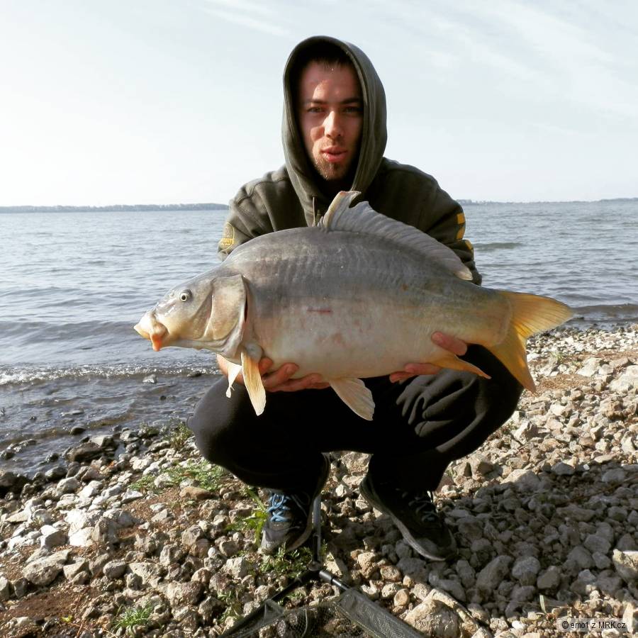 Kapor 8 kg
