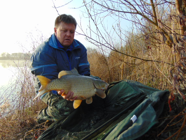 Karp