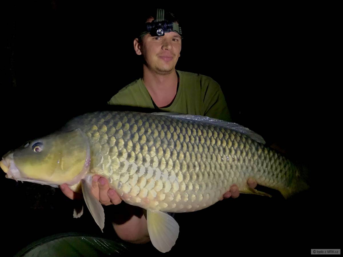 86cm, 11,5kg Medové víly od NoMoAnimosity